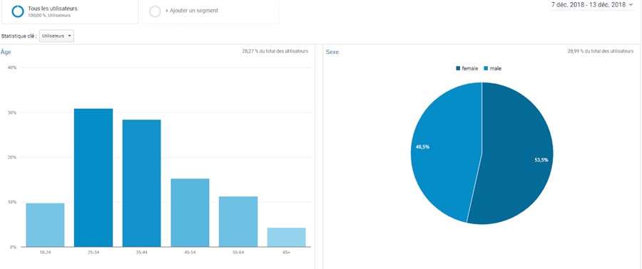 Google Analytics - Données démographiques | Création Buyer Persona | K/Perf