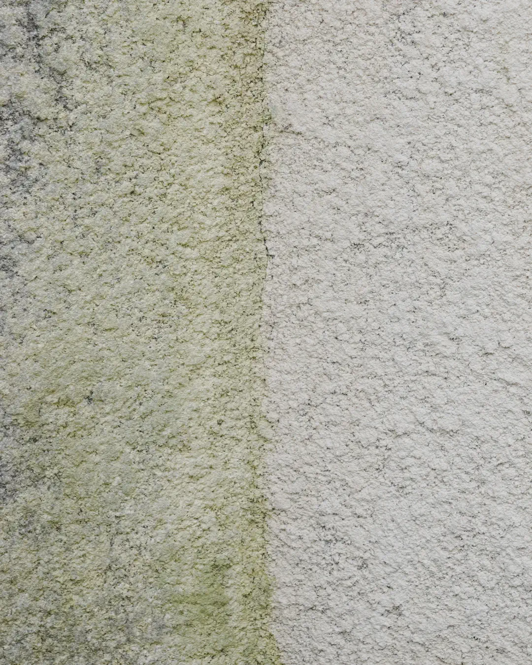 Nettoyage de façade